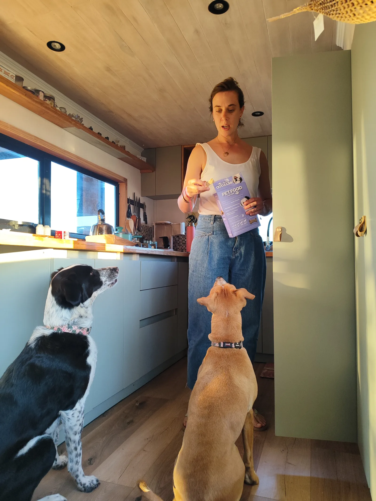 El desafío de los 32m²: Cómo vivir en pareja (¡y con dos perros!) sin perder la cabeza